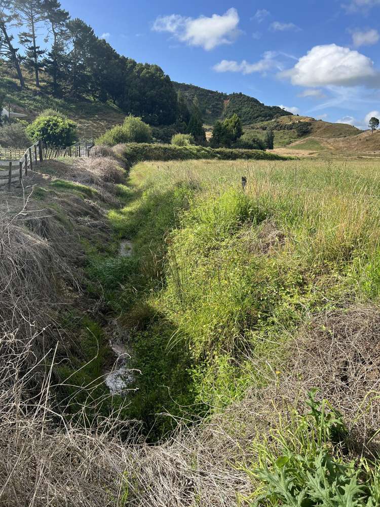 Waitomo Valley Road Waitomo_13