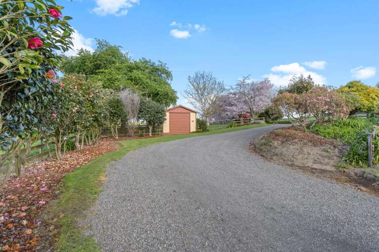 128 Matai Road Matamata_21