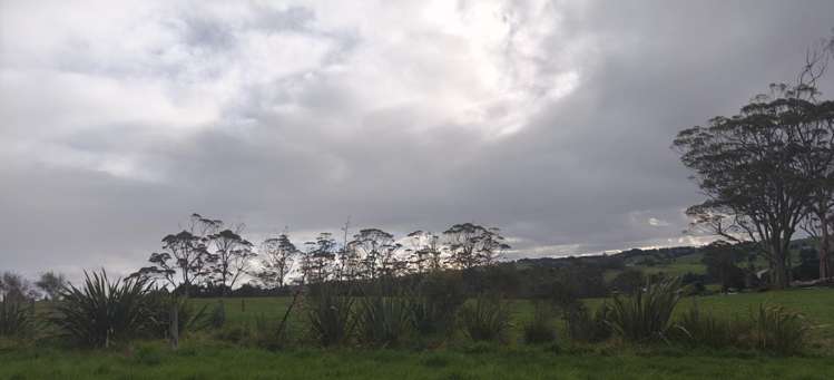 1594 Millbrook Road Taipuha_22