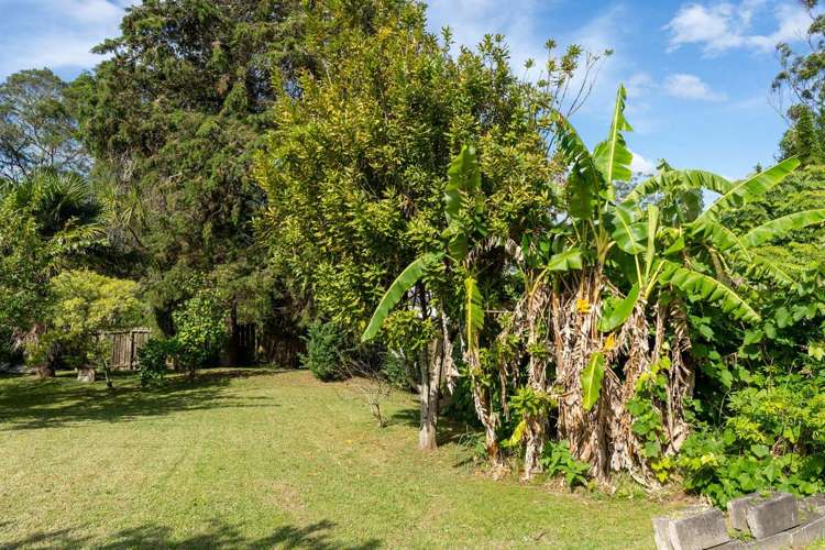 45 North Road Kawakawa_22