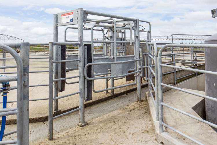 2510 Methven Highway Methven_23