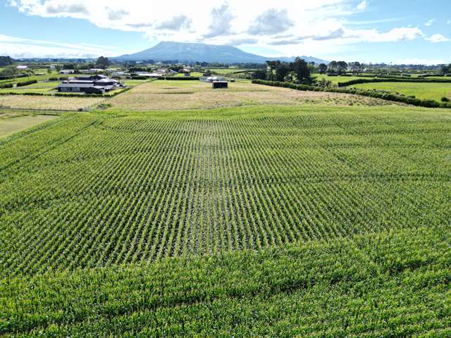 Flat, private lifestyle land - close to Stratford