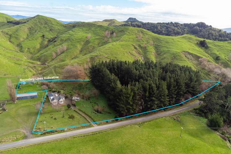 544 Alfredton Road Eketahuna_19