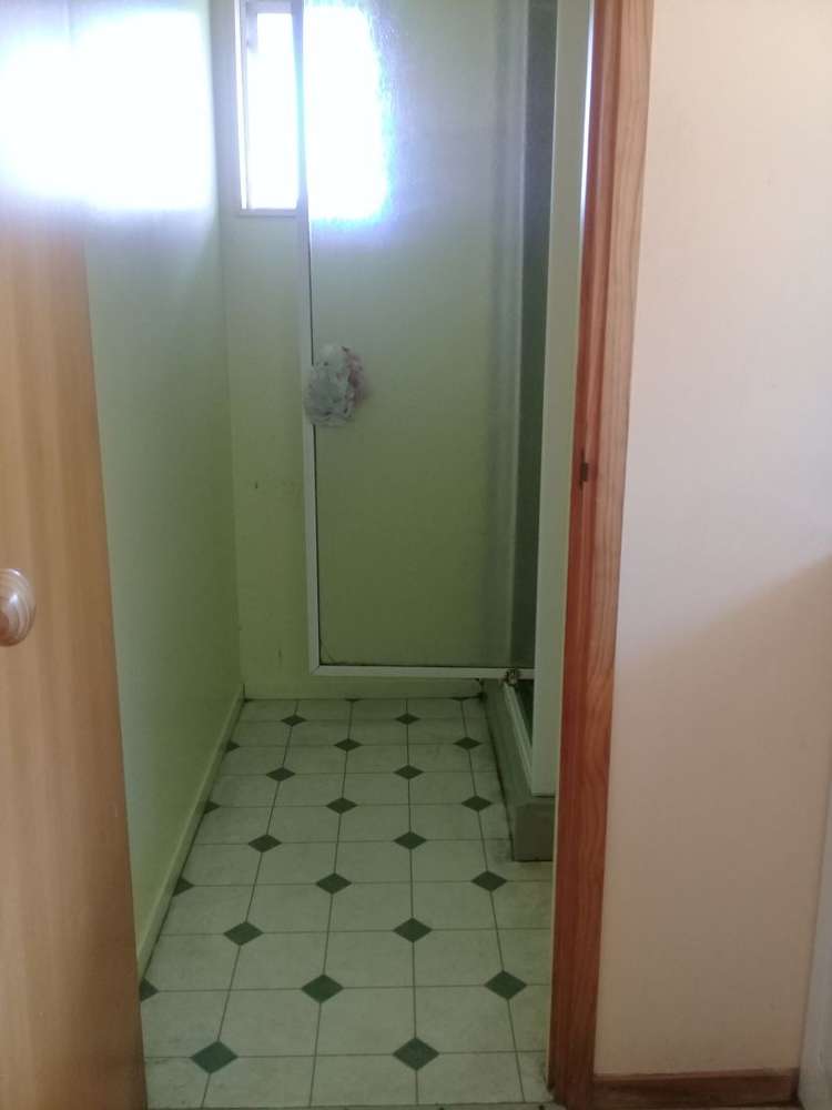 299 Kiwitahi Road Helensville_11