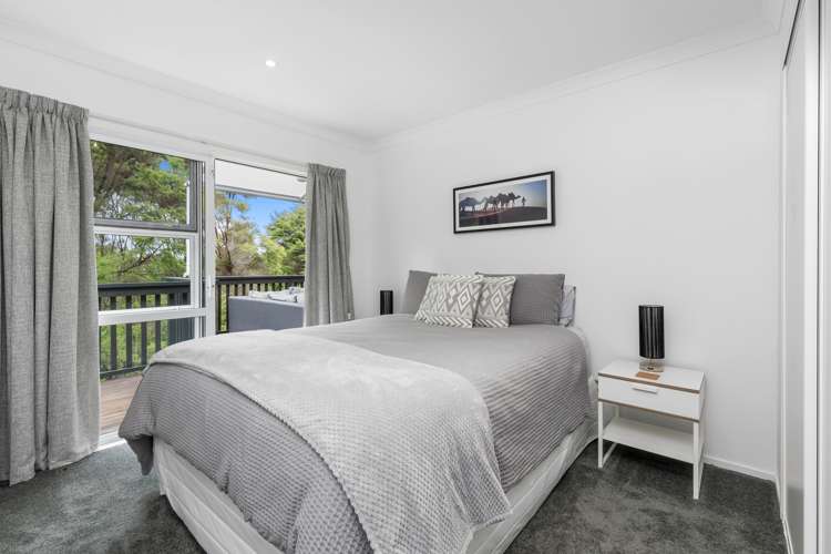 227 Lonely Track Road Albany Heights_11