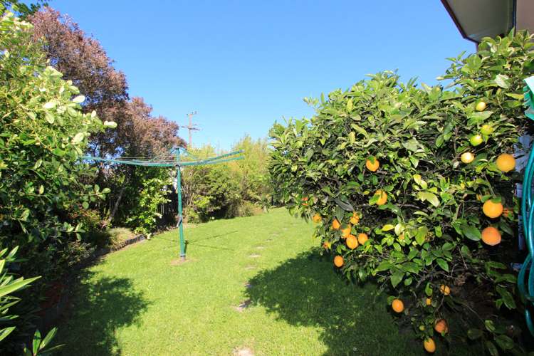 37 Mckenzie Street Witherlea_21