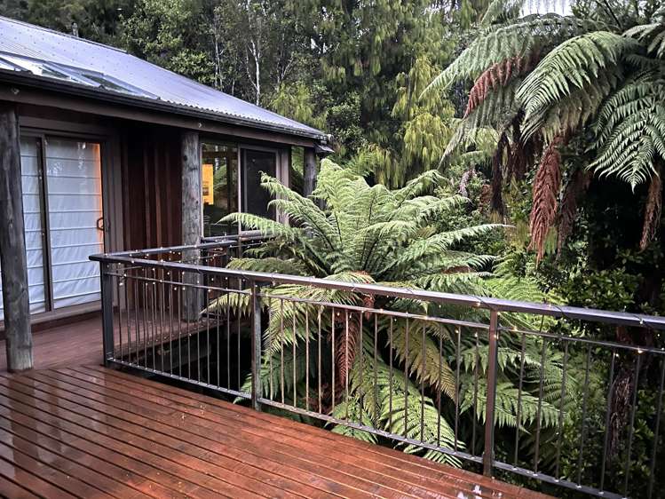 32 Mokihinui Preserve Seddonville_13