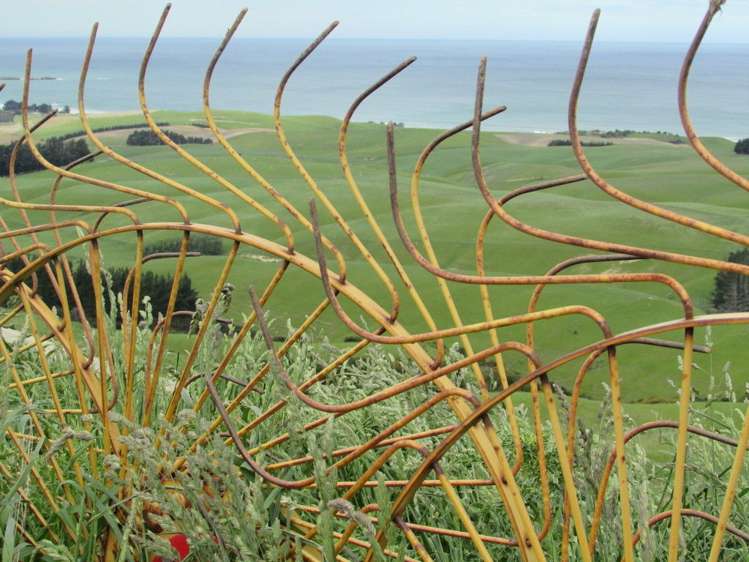 Horse Range Road Palmerston_0