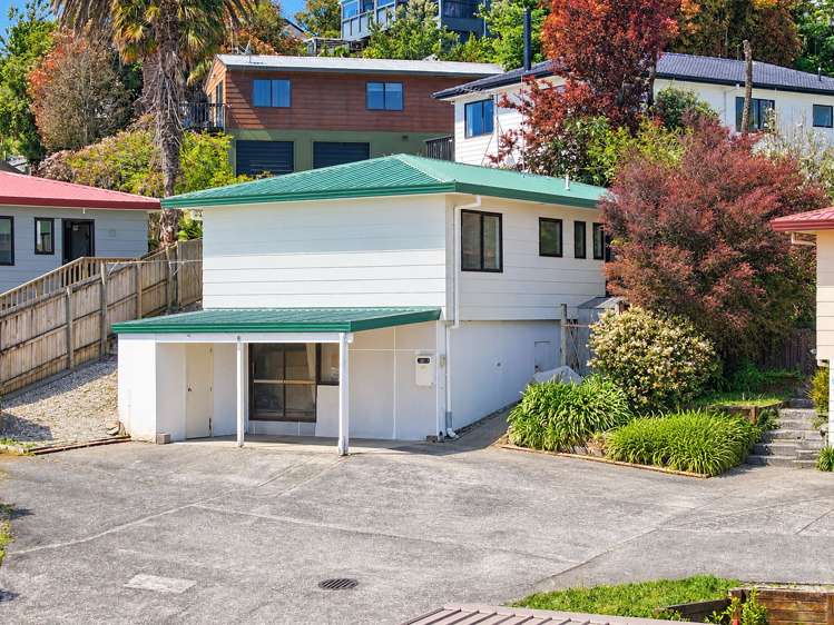 53C Meander Drive_0