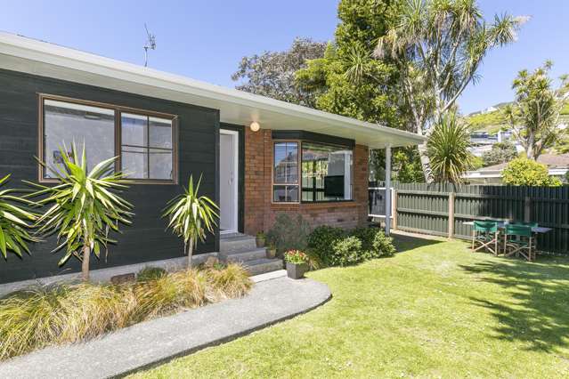 27b Elliott Street Johnsonville_1