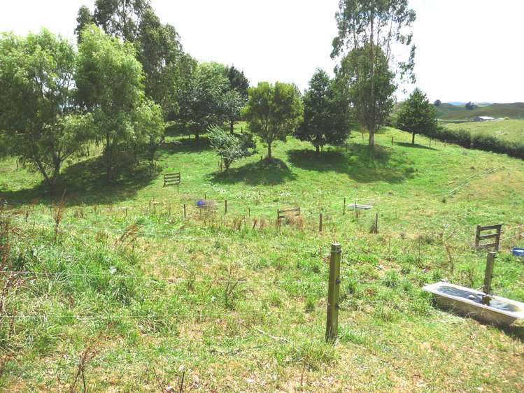 16 Ngatira Road Lichfield_21