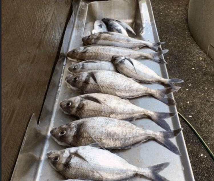 149 Te Awaiti Road Tora_23