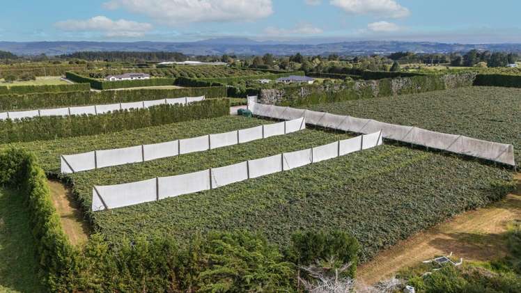 865B Oropi Road Oropi_9