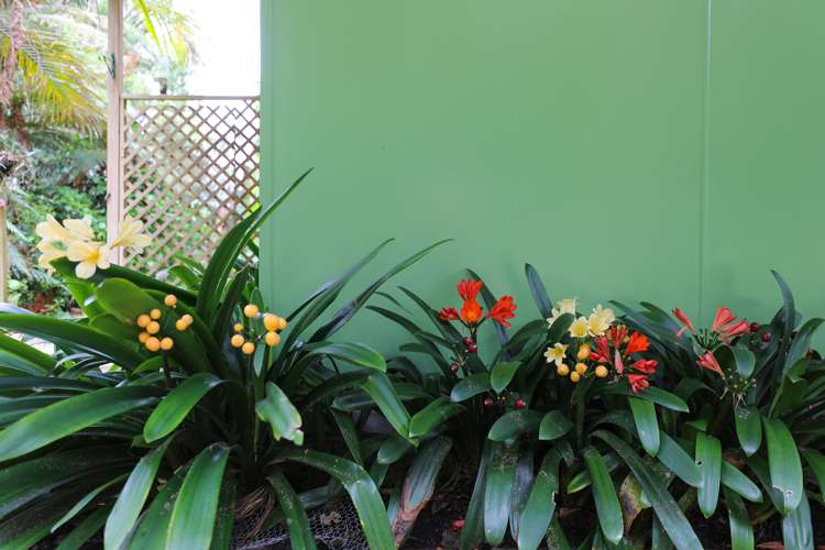 285 Spencer Road Lake Tarawera_28