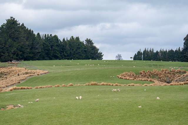 220 Mackay Road West Otago Surrounds_4