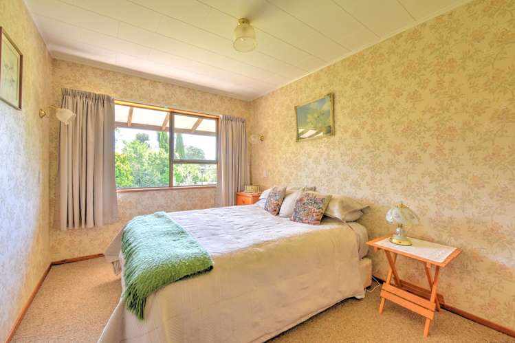 294 Sheddan Road Tapanui_13