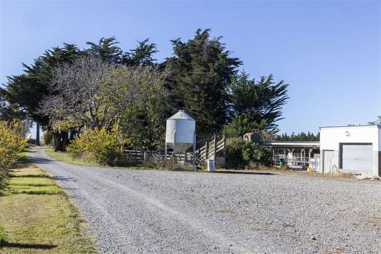 213 Mandeville Road Swannanoa_6