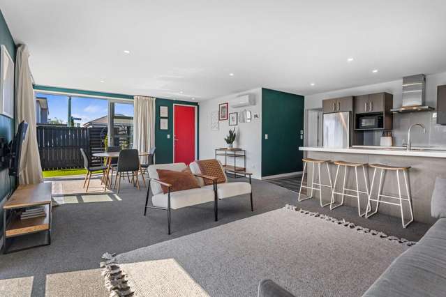 31 Seddon Street Sydenham_4