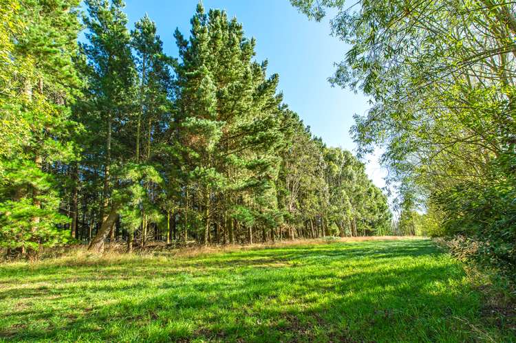 178 Springston Rolleston Road Rolleston_22