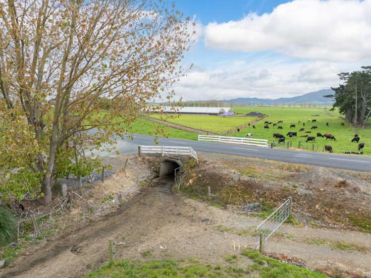 435 and 452 Tainui Road Morrinsville_25