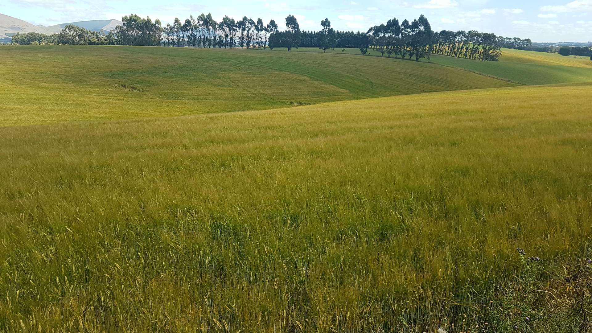 1518 Clinton Highway Clinton and Surrounds_0