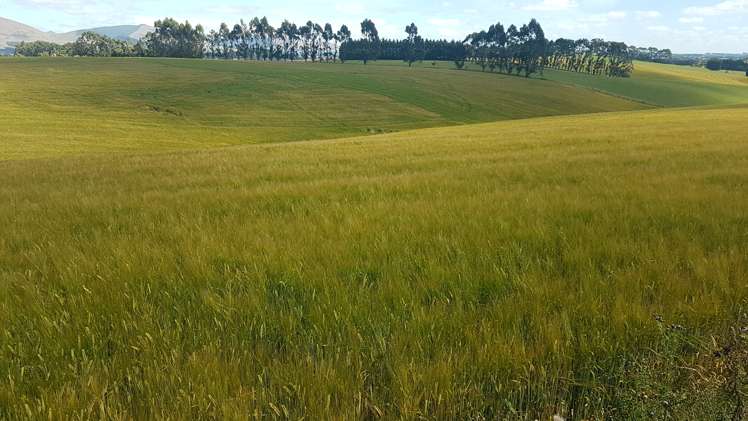 1518 Clinton Highway Clinton and Surrounds_0