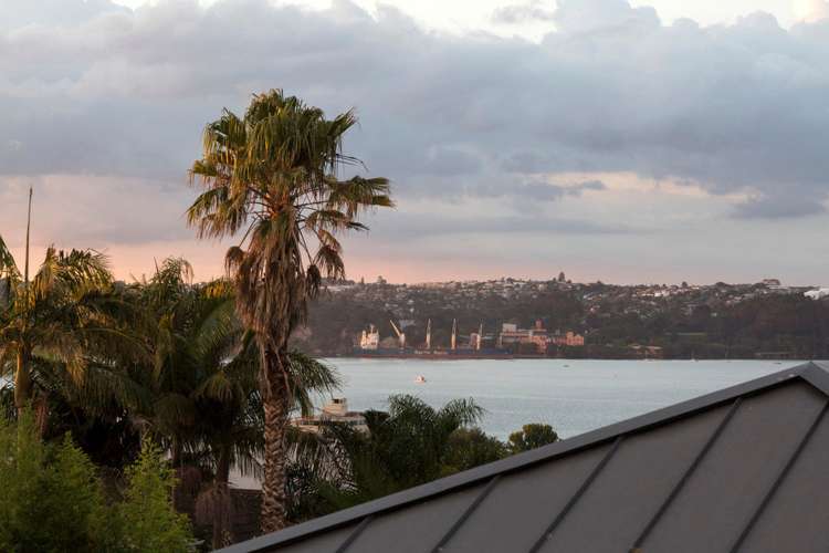 15c Curran Street Herne Bay_15