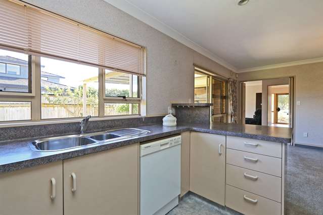 168 Auckland Road Greenmeadows_2