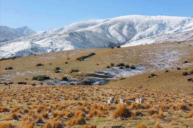 94 McLean Road Garston_16