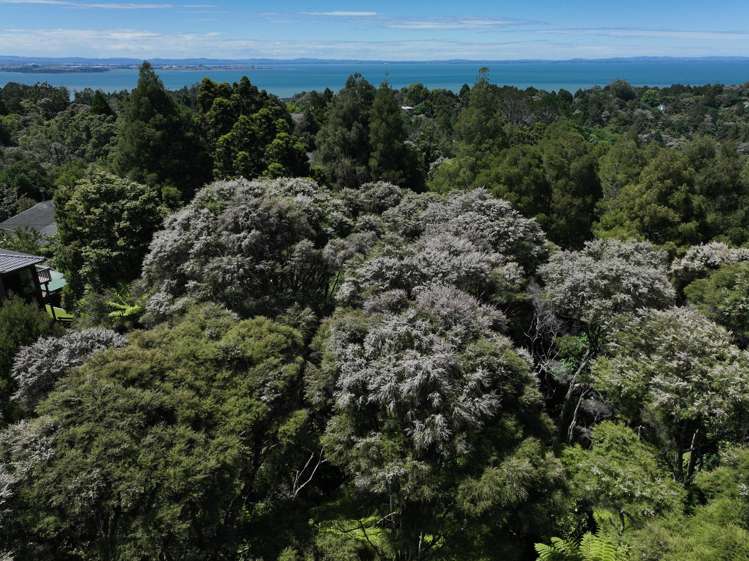 14 Scenic Drive Titirangi_6