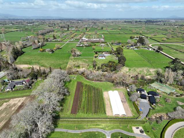491D Bruntwood Road Tamahere_1