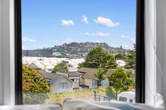 73-89 Freeland Avenue Mount Roskill_2