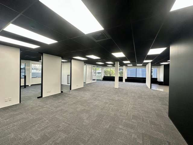 9A Hargreaves Street Freemans Bay_4