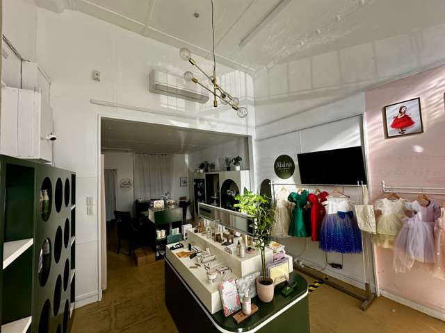 19 St Andrew Street Dunedin Central_2