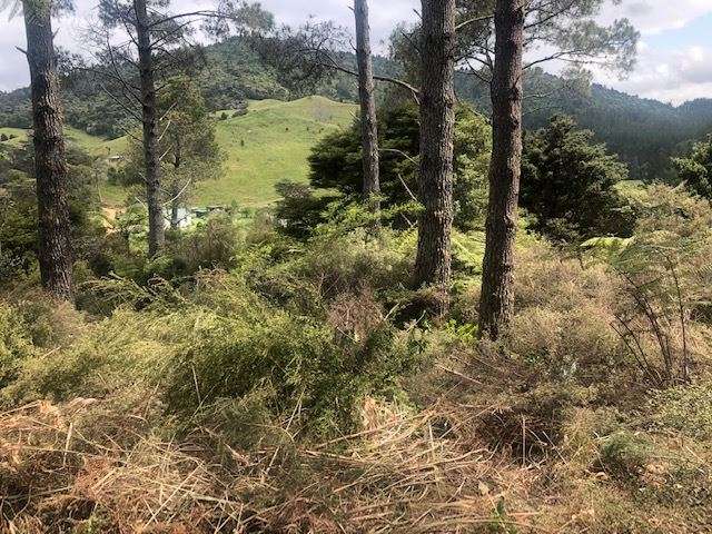 205 Kaimarama Road Kaimarama_2