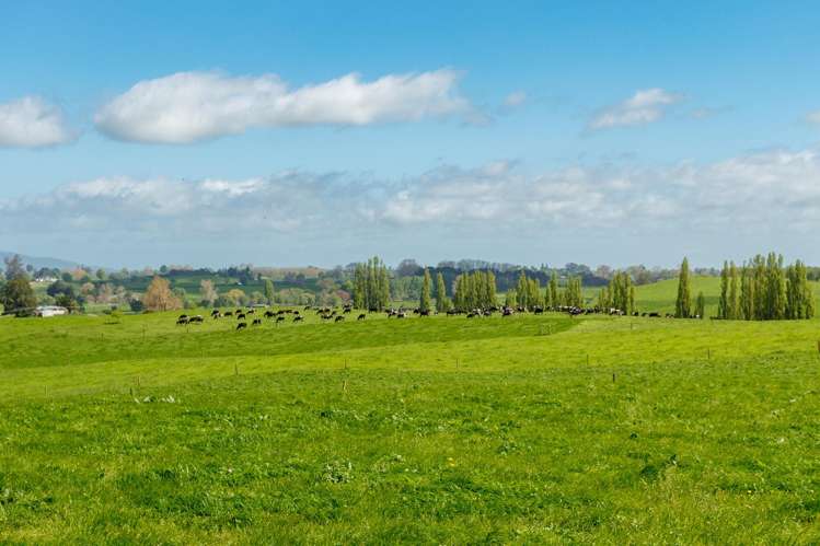 220 Waiomou Road, Okoroire Tirau_12