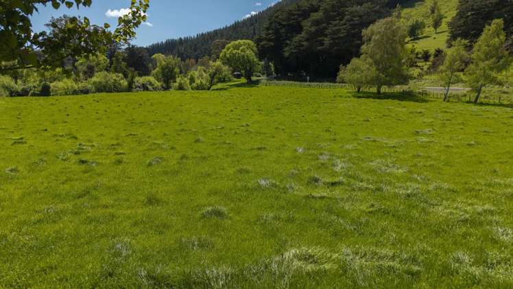1663 Opaki Kaiparoro Road Masterton_15