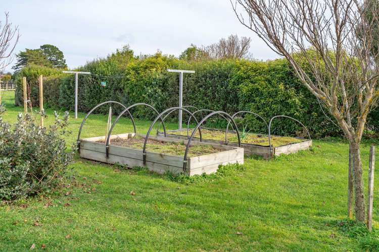 3236 State Highway 2 Carterton_28