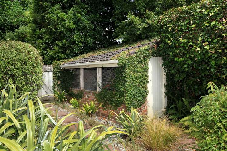 163e Saint Johns Road Saint Johns_14