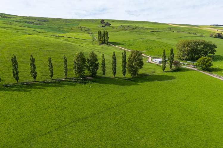 665 Craigmore Valley Road Maungati_23