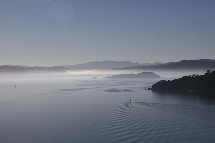 21 Waipapa Terrace Hataitai_14