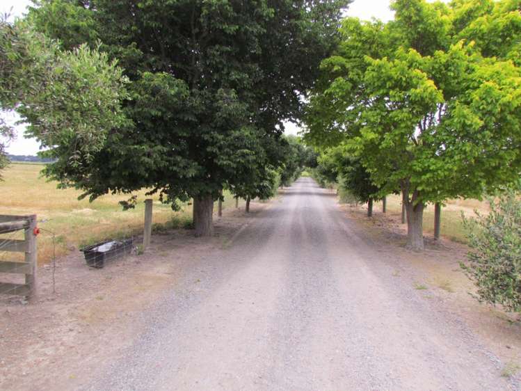 1778 Redwood Pass Road Seddon_14