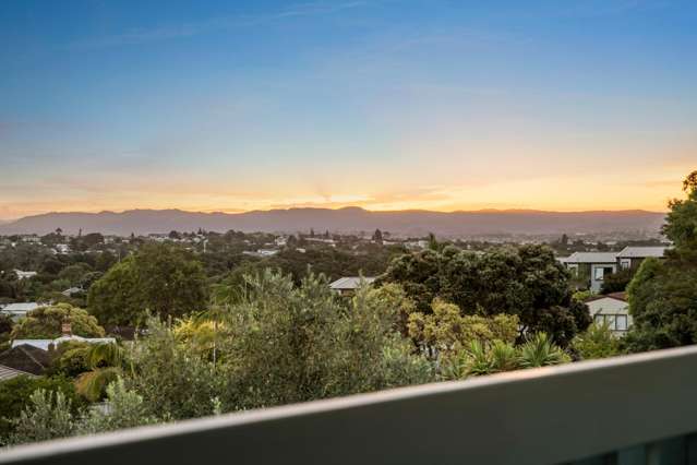 20 Western Springs Road Morningside_1