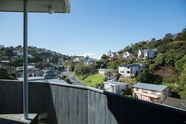 5 Mccoll Street Vogeltown_3