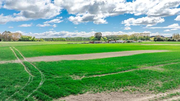 8 Barretts Road Seadown_12