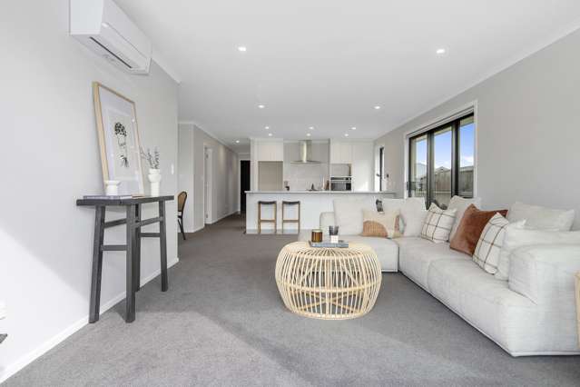 6 Morrin Street Morrinsville_1