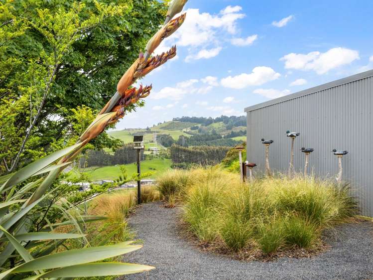 158 Mornington Road Kenmure_22