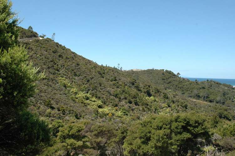 6 Cape Rodney Place Mangawhai Heads_2