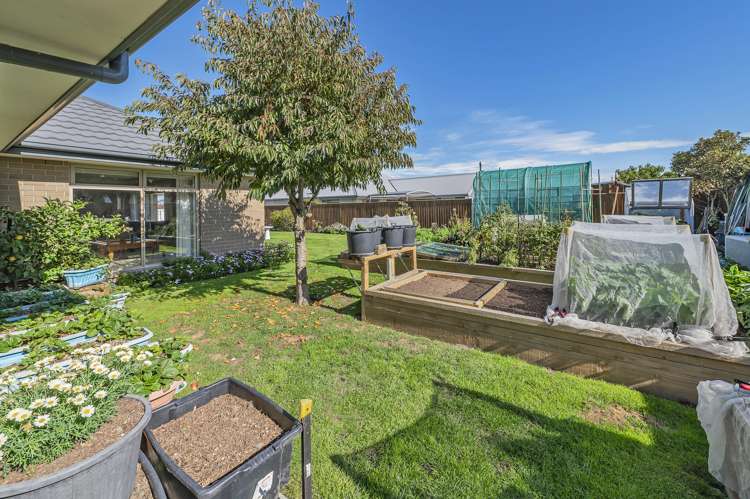 47 Navy Loop Rolleston_28