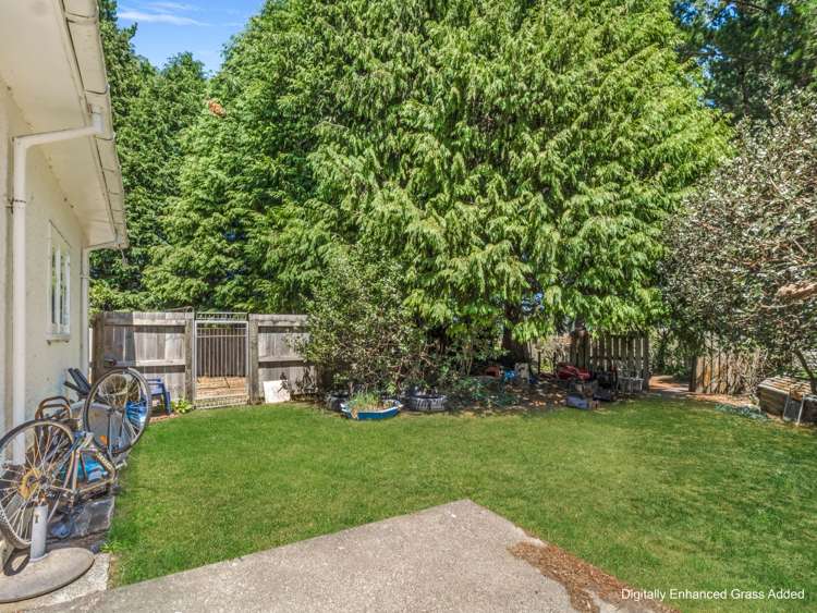 565 Birch Road East Dannevirke_34